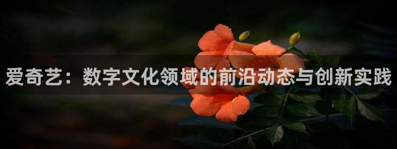 琅琊榜在线观看免费观看西瓜影院